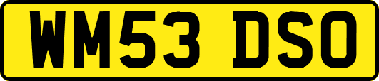 WM53DSO