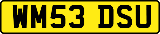 WM53DSU
