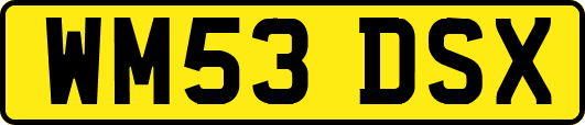 WM53DSX