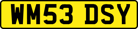 WM53DSY