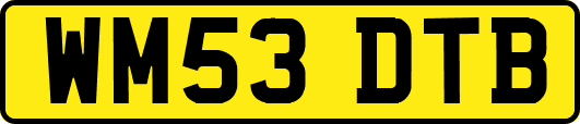 WM53DTB