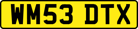 WM53DTX