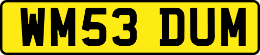 WM53DUM