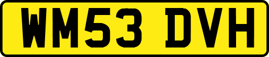 WM53DVH