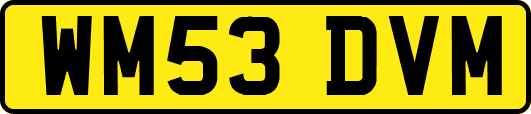 WM53DVM