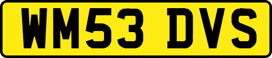 WM53DVS