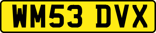 WM53DVX