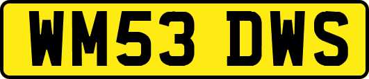 WM53DWS