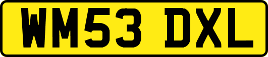 WM53DXL