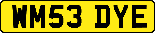 WM53DYE