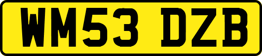 WM53DZB