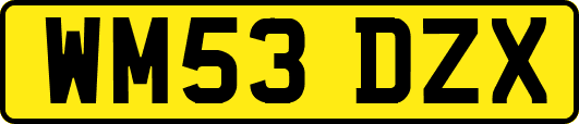 WM53DZX