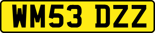 WM53DZZ