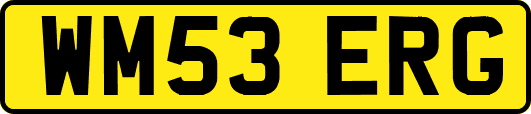 WM53ERG