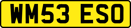 WM53ESO