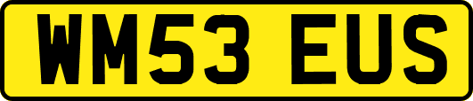 WM53EUS
