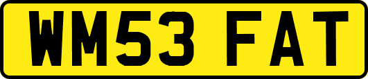 WM53FAT