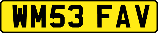 WM53FAV