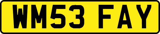 WM53FAY