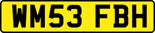 WM53FBH