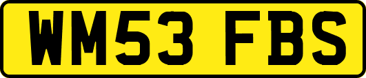 WM53FBS
