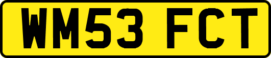 WM53FCT