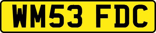 WM53FDC
