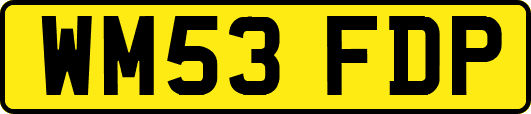 WM53FDP