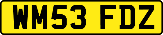 WM53FDZ