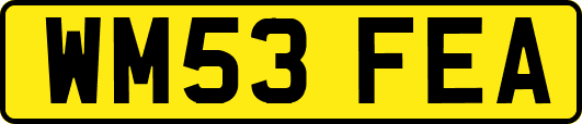 WM53FEA