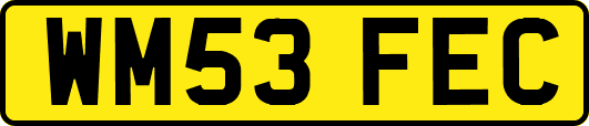 WM53FEC