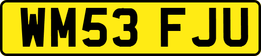 WM53FJU