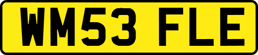 WM53FLE