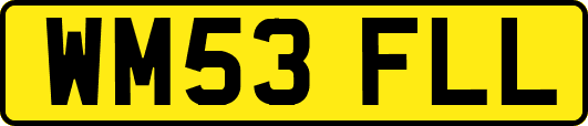 WM53FLL