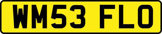 WM53FLO