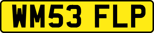 WM53FLP