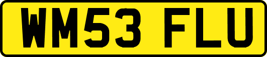 WM53FLU