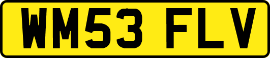 WM53FLV