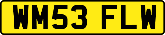 WM53FLW