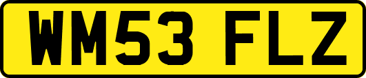 WM53FLZ