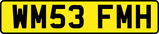 WM53FMH