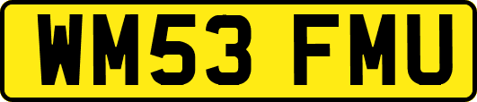 WM53FMU