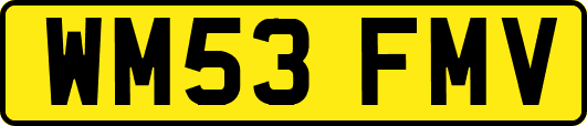 WM53FMV