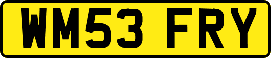 WM53FRY