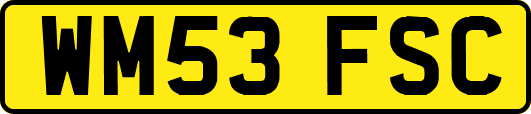 WM53FSC