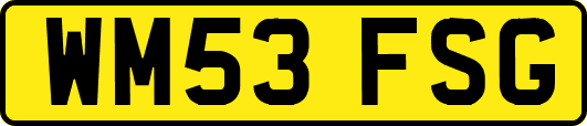 WM53FSG