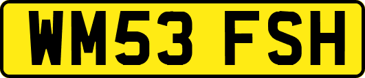 WM53FSH