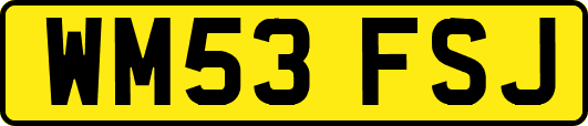 WM53FSJ