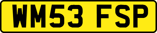 WM53FSP