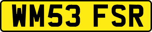 WM53FSR